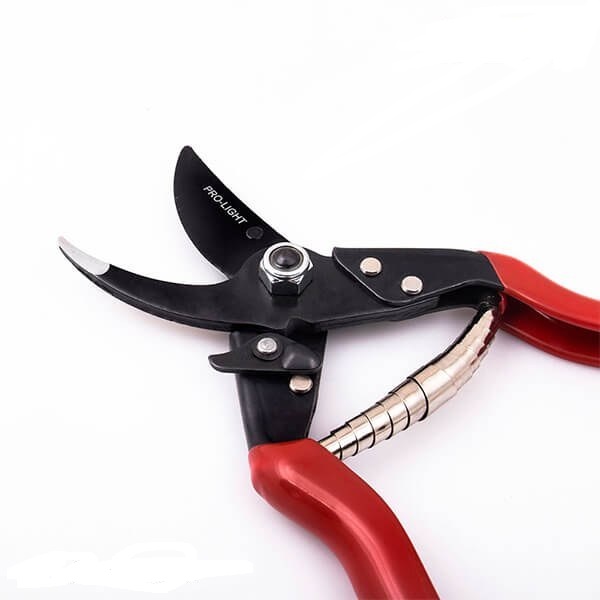 قیچی باغبانی لایت ژاپن (LIGHT JAPAN) مدل JH-615